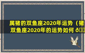 属猪的双鱼座2020年运势（猪双鱼座2020年的运势如何 🌷 ）